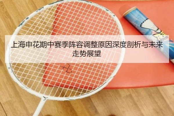 上海申花期中赛季阵容调整原因深度剖析与未来走势展望